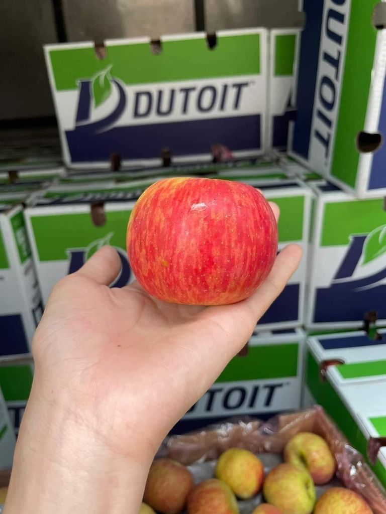 Táo Nam Phi Dutoit - Túi 3kg