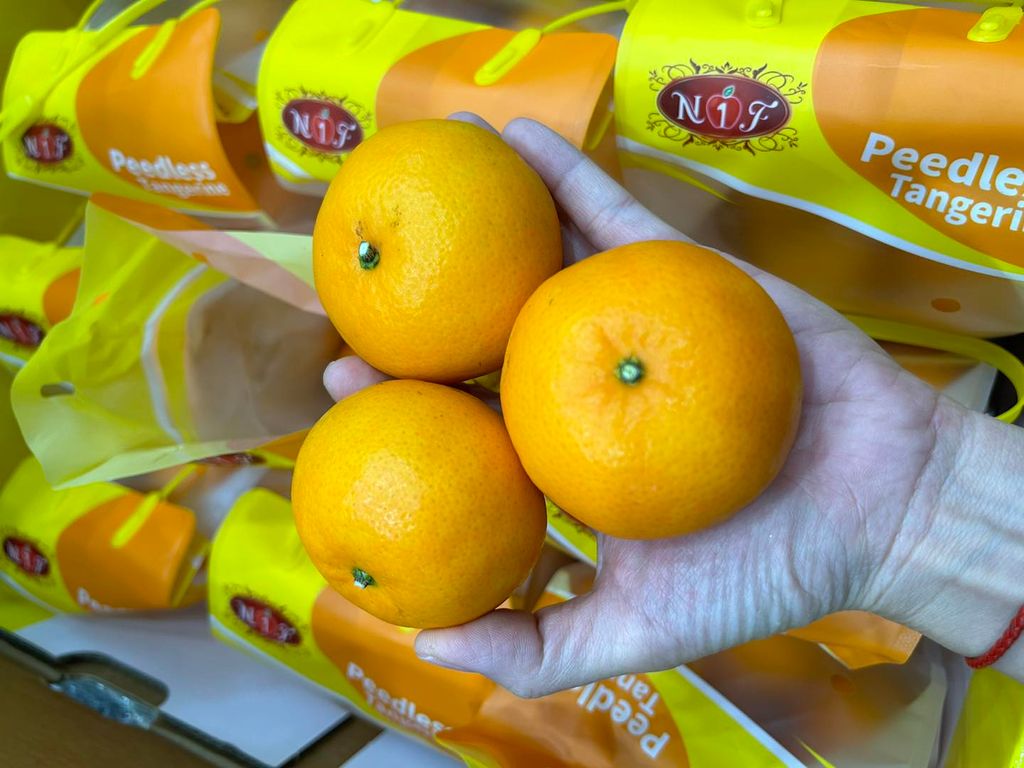 Quýt Túi Gold Seedless – Túi 900g