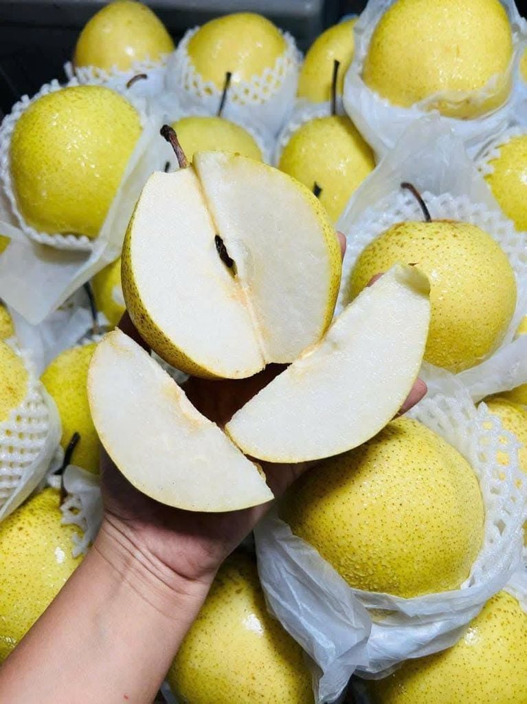 Lê Đường Panda - Kg