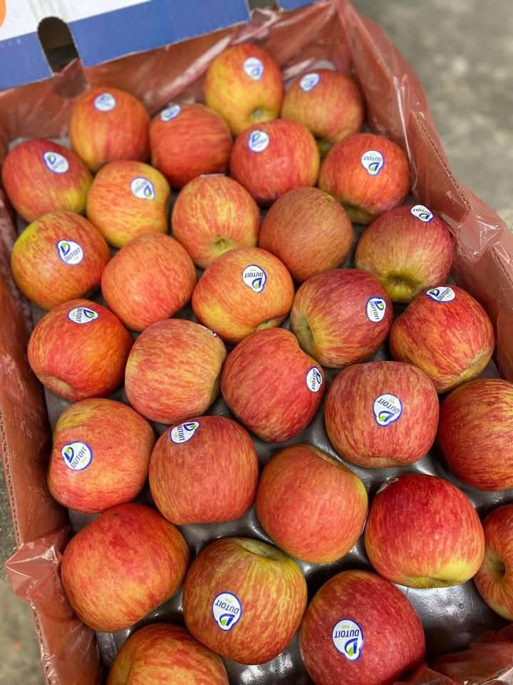 Táo Nam Phi Dutoit - Túi 3kg
