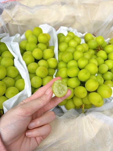 Nho Mẫu Đơn Chùm – KG