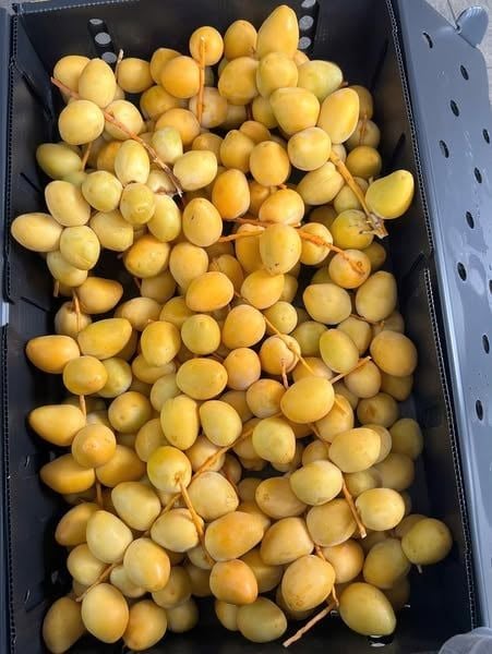 Chà Là Tươi - 500G