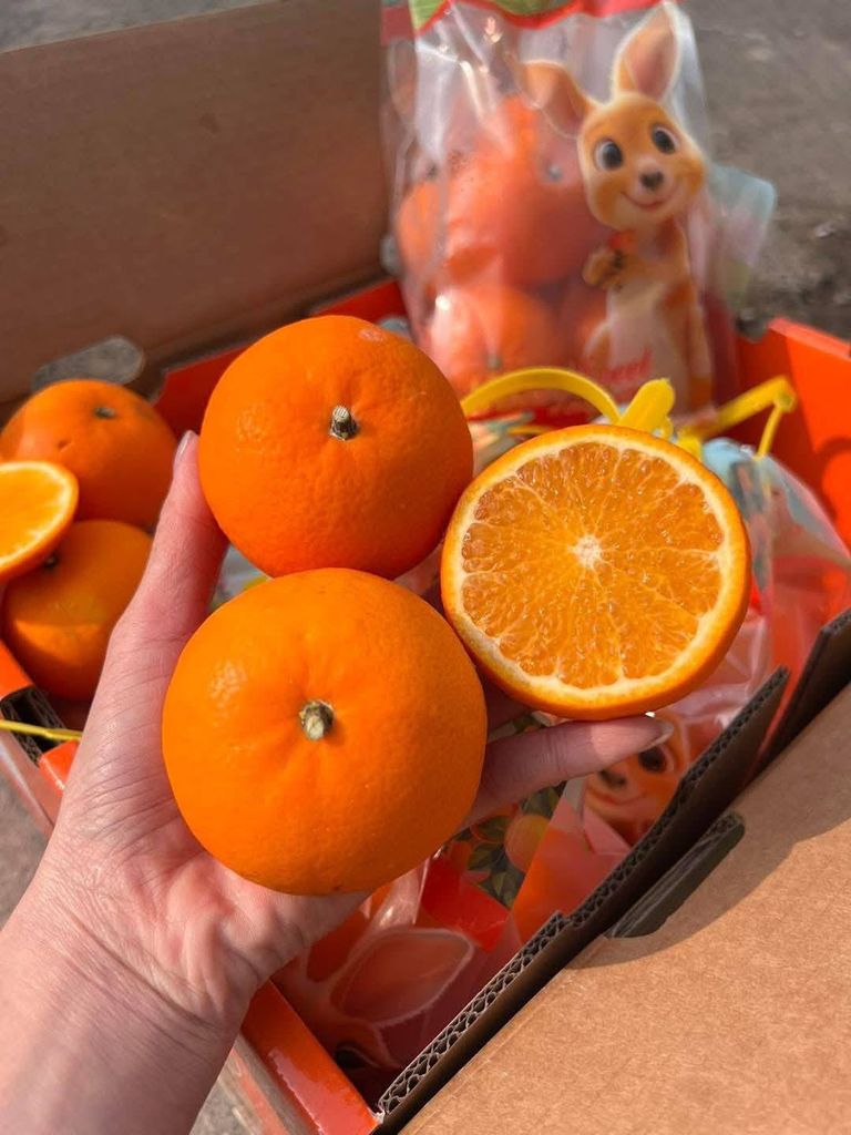 Quýt Túi Honey Sweet – Túi 1kg