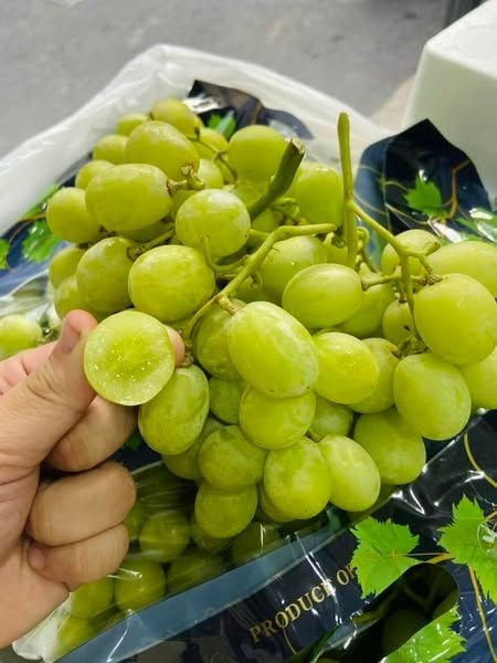 Nho Xanh Mỹ Ivory Bravante - 900gr