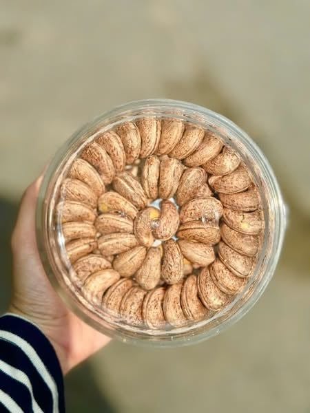 Hạt điều rang muối SViet - Hộp 500g