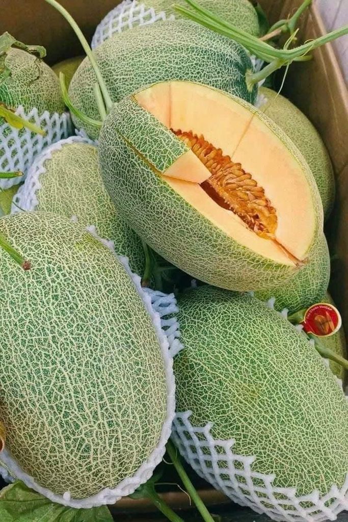 Dưa Lưới Hữu Cơ Hạ Uyển Frusea - Kg