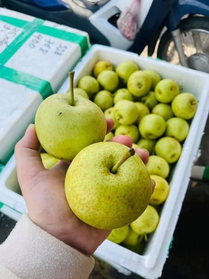 Lê Xanh Tà Nung – 1kg