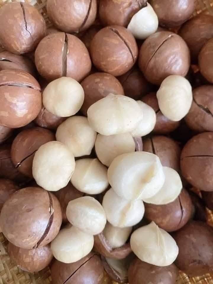 Hạt Macca Hưng Phát – Bịch 500g