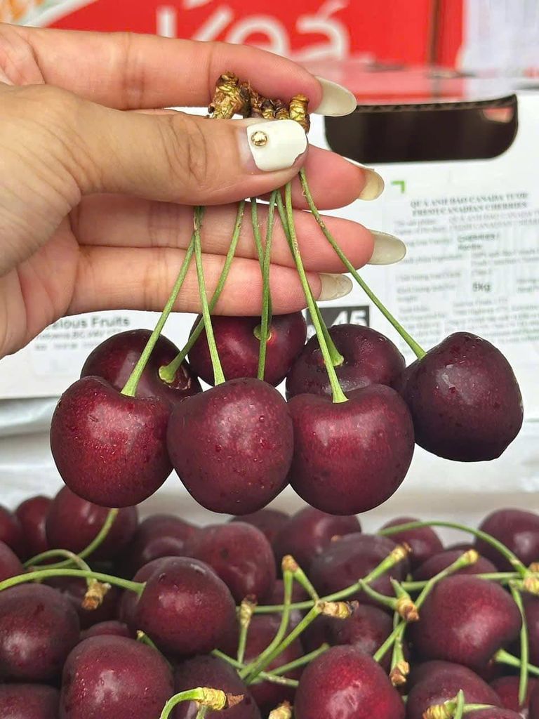 Cherry Mật Canada Ngọt Đậm - 500g