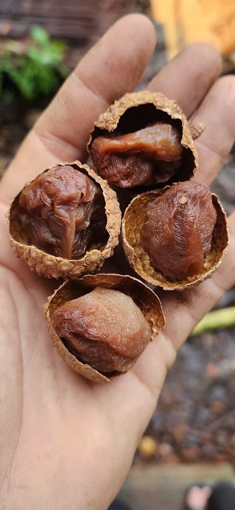 Vải Trái Sấy Khô - 500g