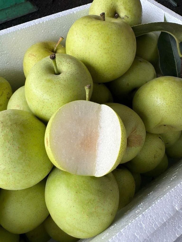 Lê Xanh Tà Nung – 1kg