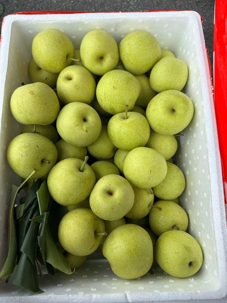 Lê Xanh Tà Nung – 1kg