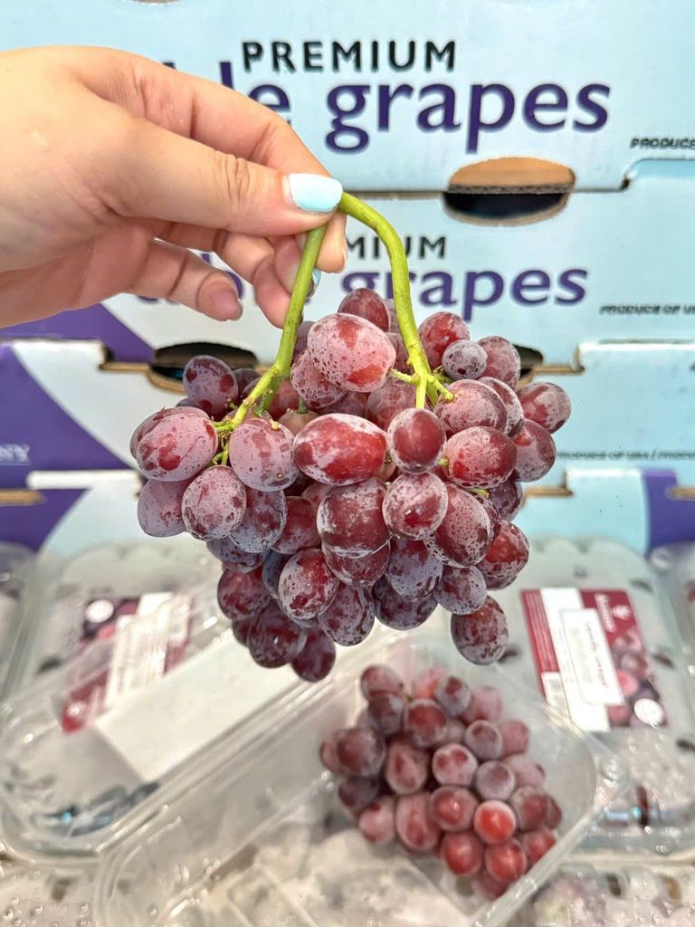 Nho Kẹo Mỹ – Hộp 454gr