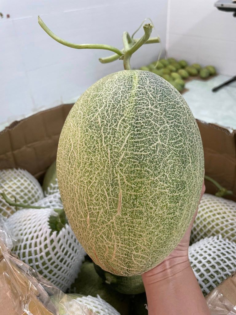 Dưa Lưới Hữu Cơ Hạ Uyển Frusea - Kg