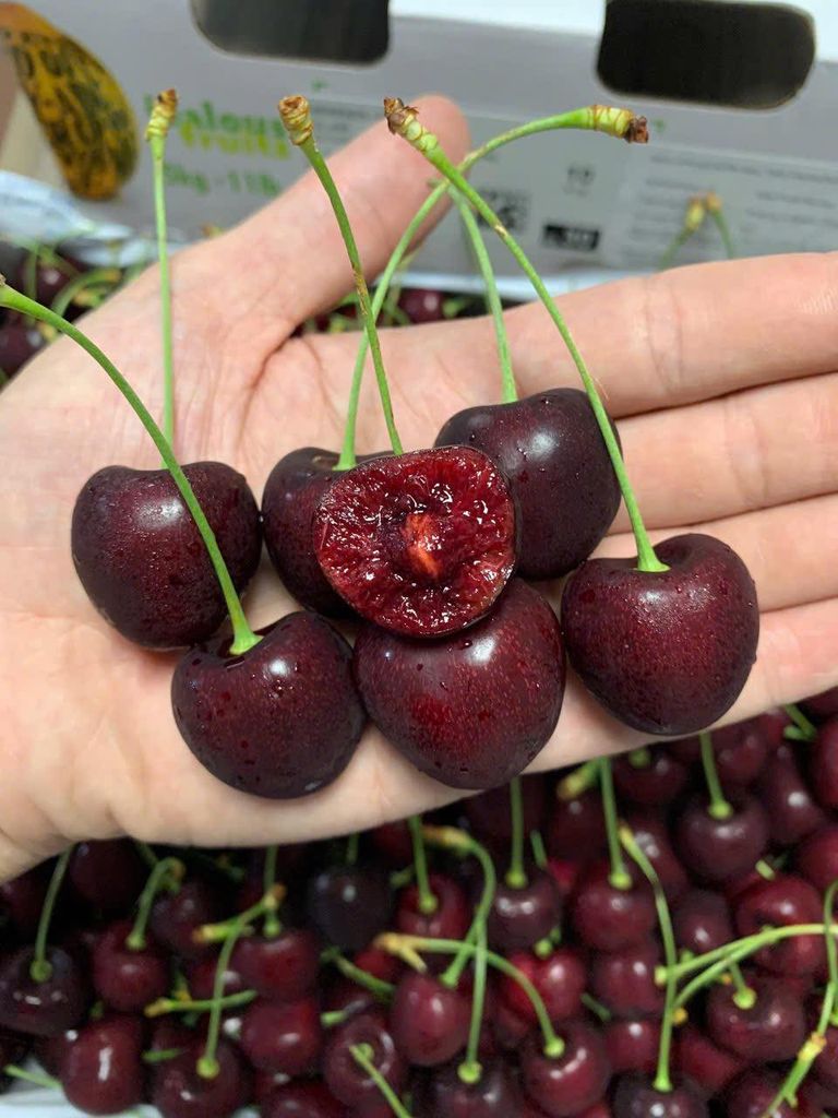 Cherry Mật Canada Ngọt Đậm - 500g
