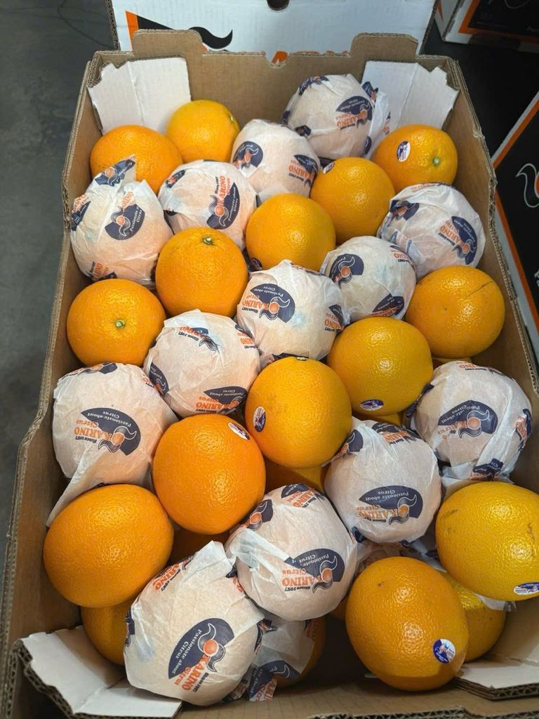 Cam Vàng Nam Phi Cao Cấp - Kg