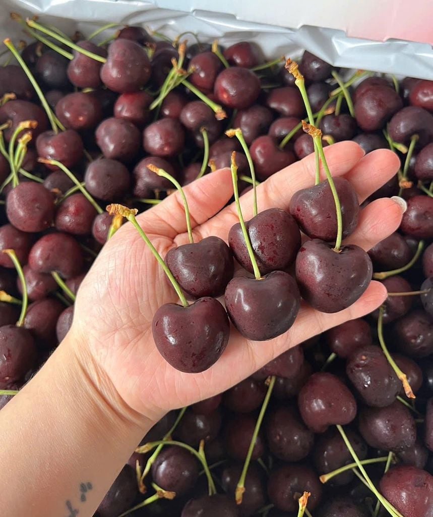 Cherry Mật Canada Ngọt Đậm - 500g