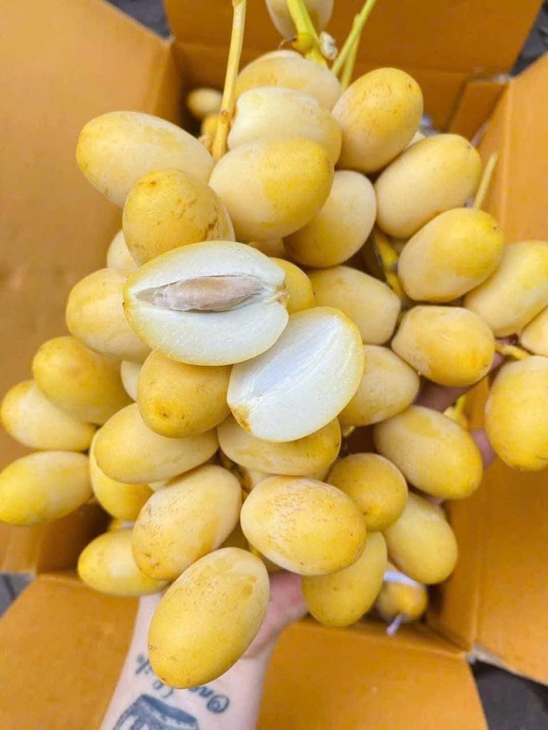 Chà Là Tươi - 500G