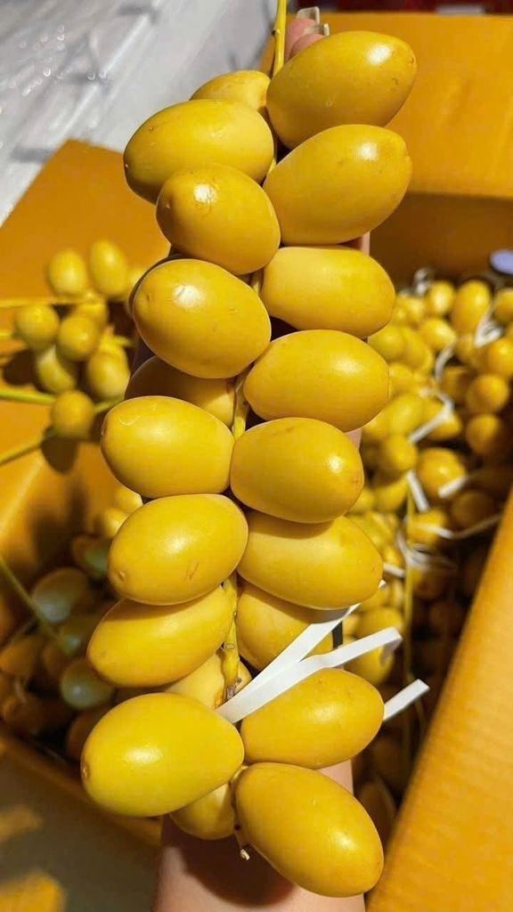 Chà Là Tươi - 500G