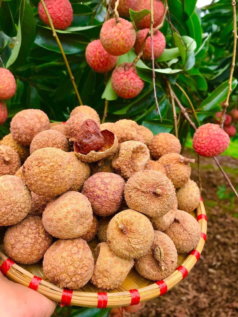 Vải Trái Sấy Khô - 500g