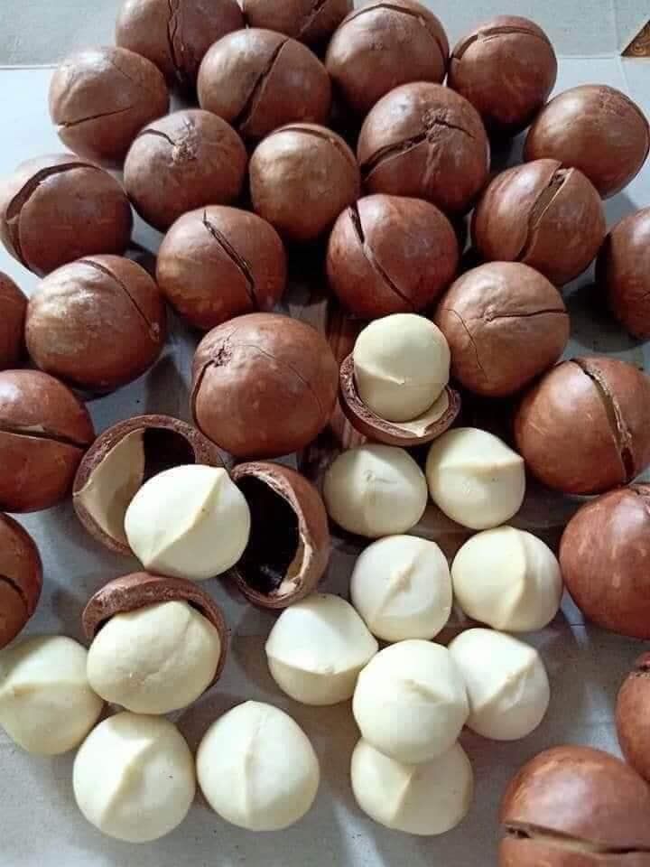 Hạt Macca Sấy SuSu -500gr