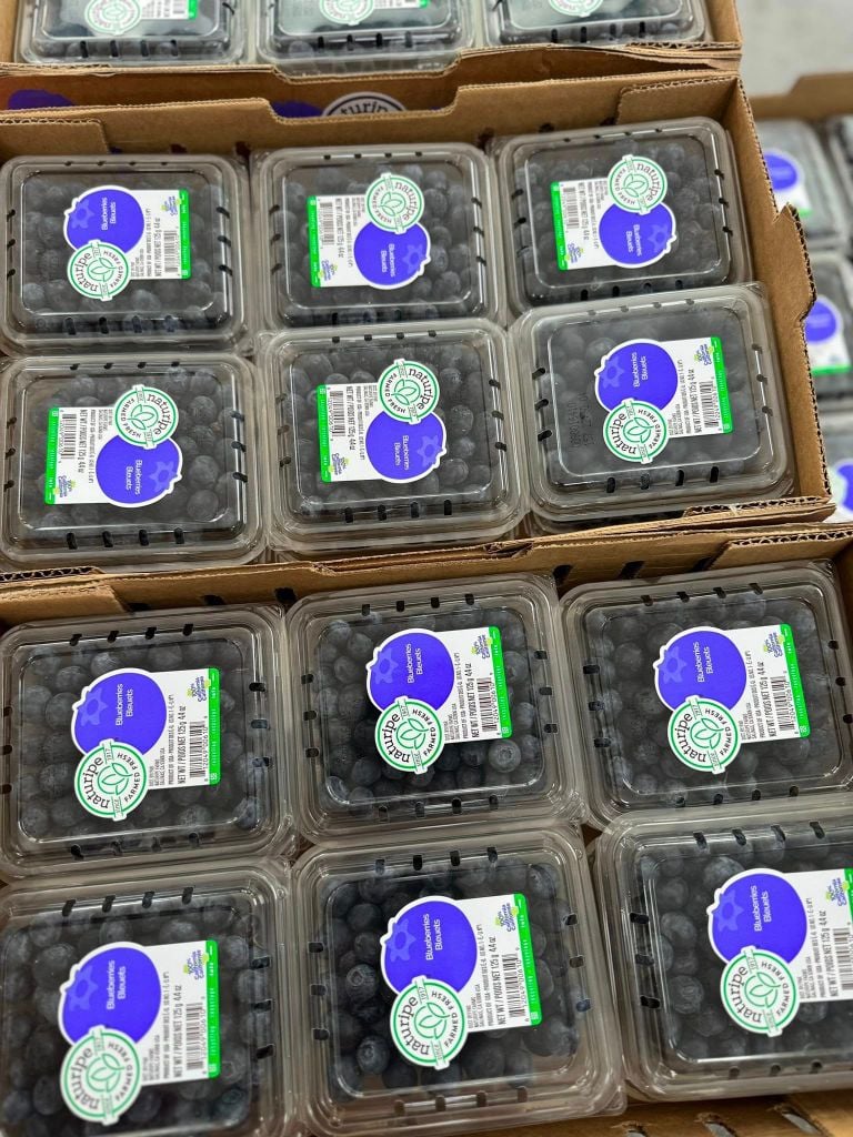 Việt Quất Tươi - Hộp 125gr