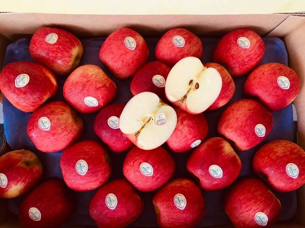 Táo Ambrosia New Zealand - 1kg