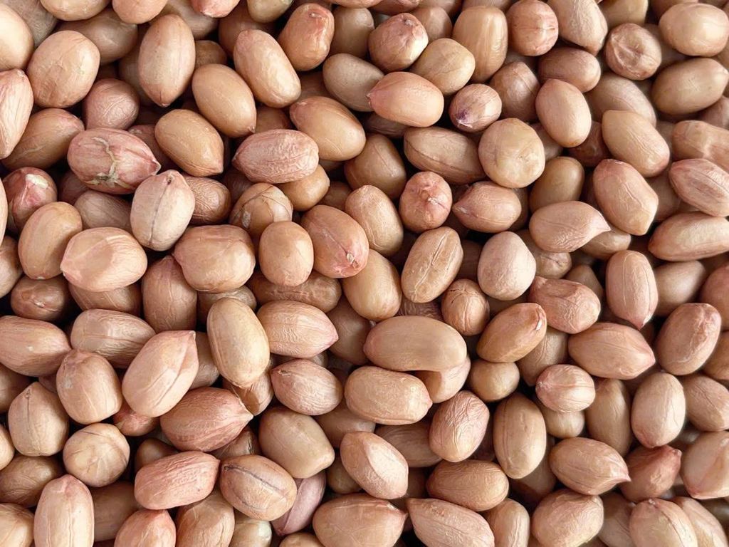 Dầu Lạc Penato - 350ml