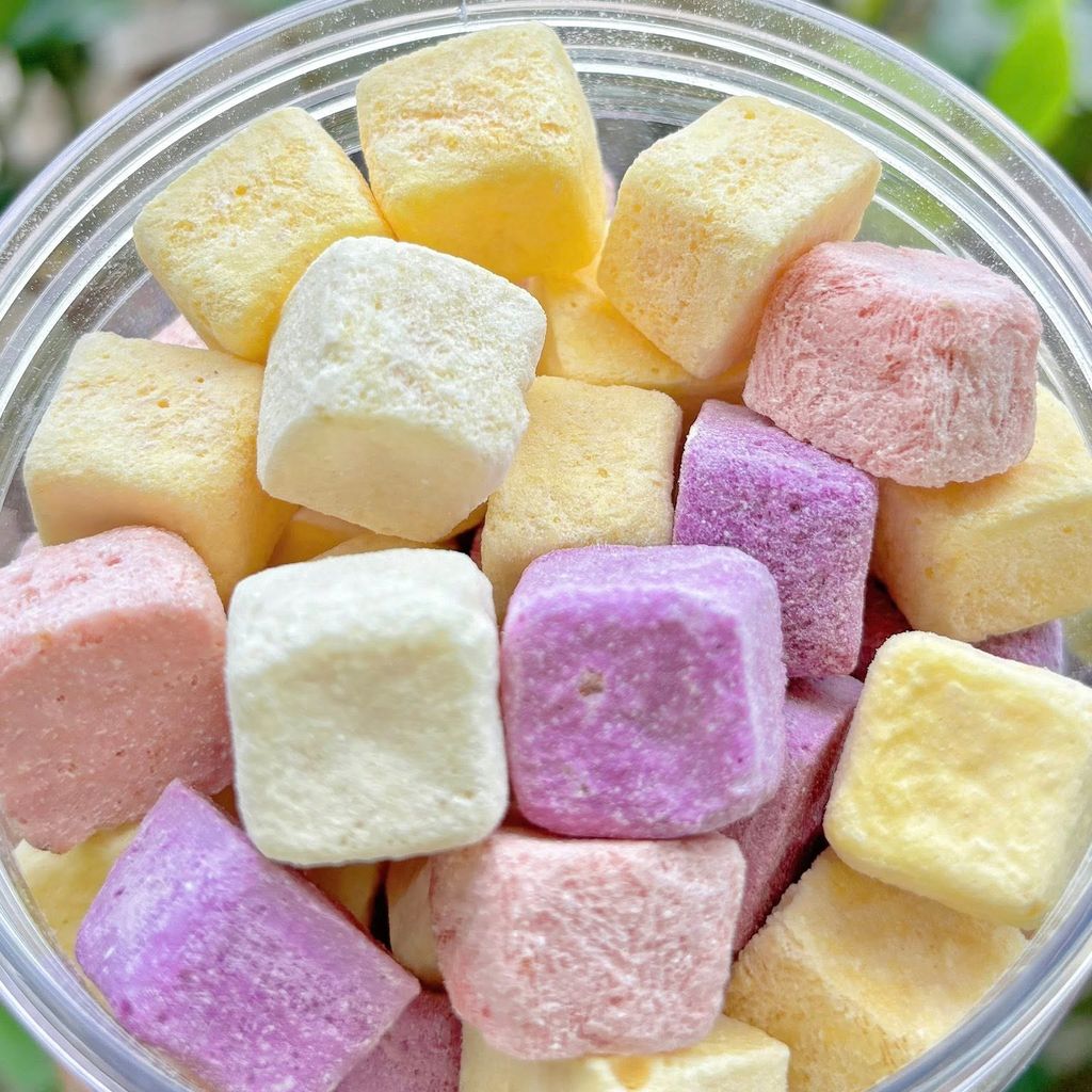 Sữa Chua Sấy Lạnh Wakamono - 200g