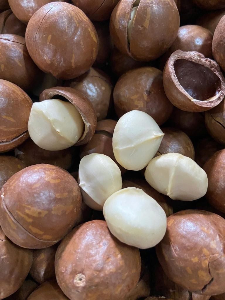 Hạt Macca Hưng Phát - Bịch 500g