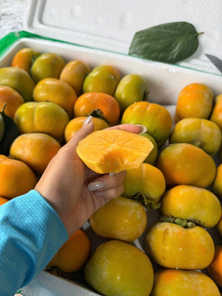 Hồng Giòn Vân Sơn - kg