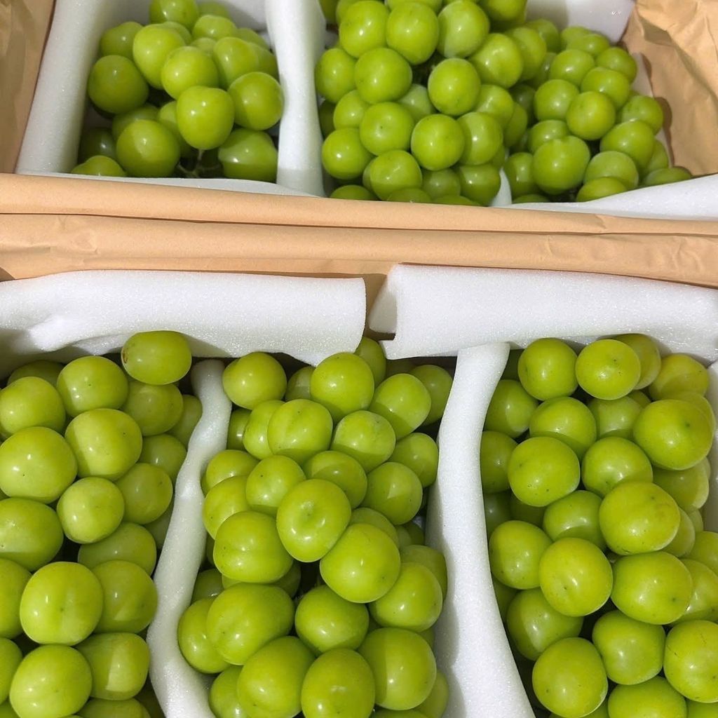 Nho Mẫu Đơn Chùm – KG