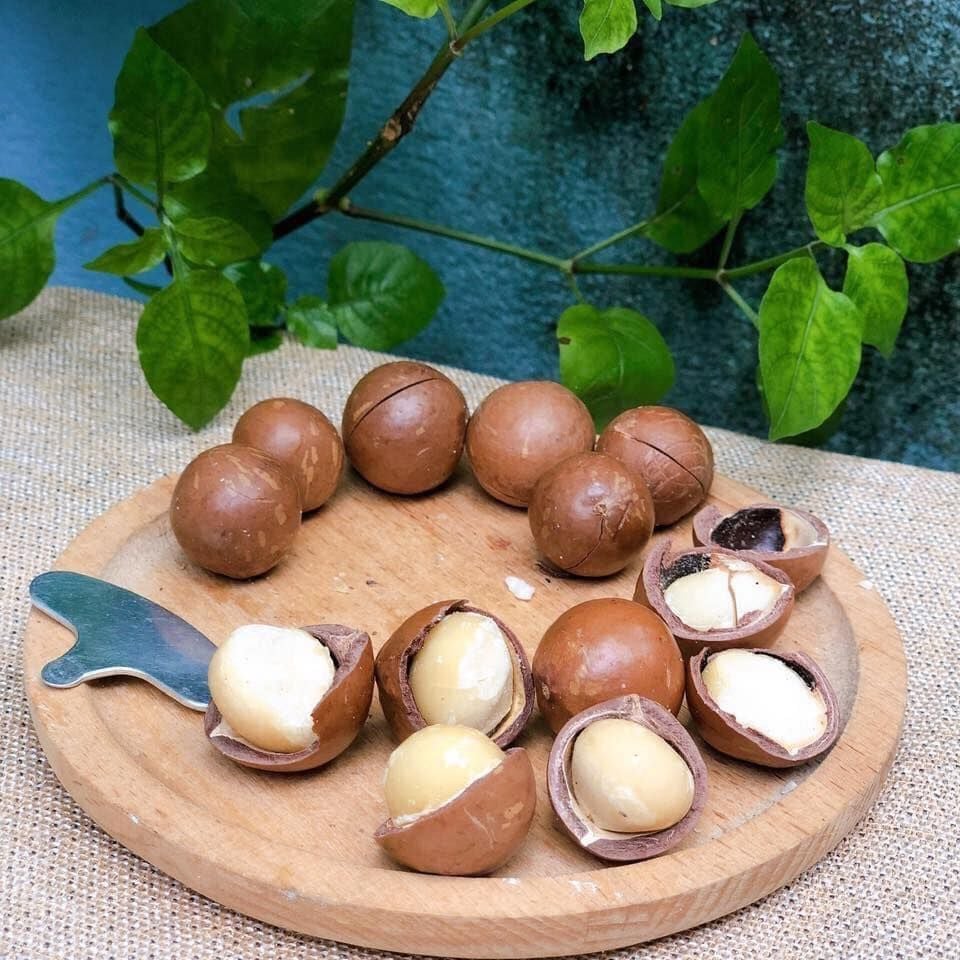 Hạt Macca Gia Hưng - 500g