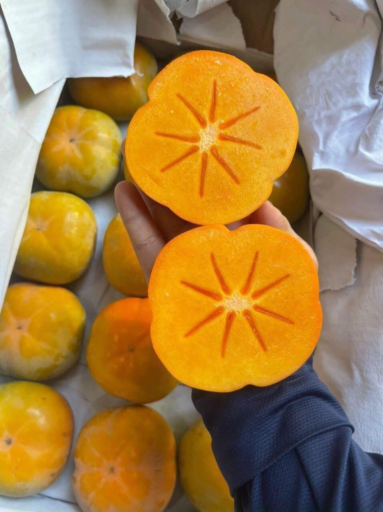 Hồng Giòn Vân Sơn - kg