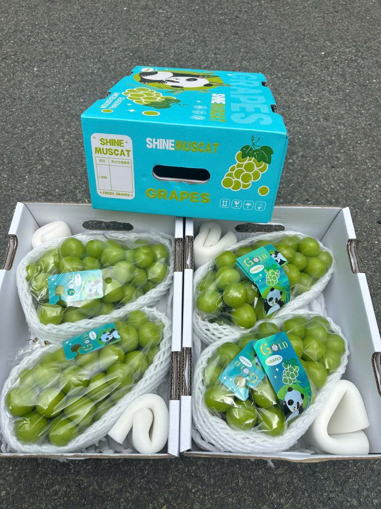 Nho Mẫu Đơn Cao Cấp - Thùng 2 Chùm