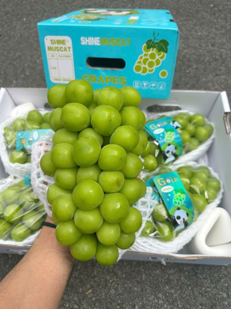 Nho Mẫu Đơn Cao Cấp - Thùng 2 Chùm