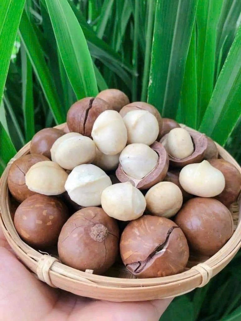 Hạt Macca Hưng Phát - Bịch 500g