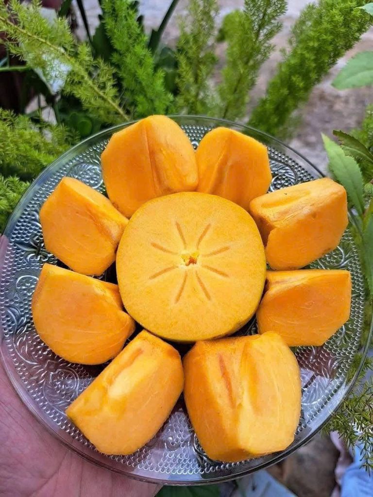 Hồng Giòn Vân Sơn - kg