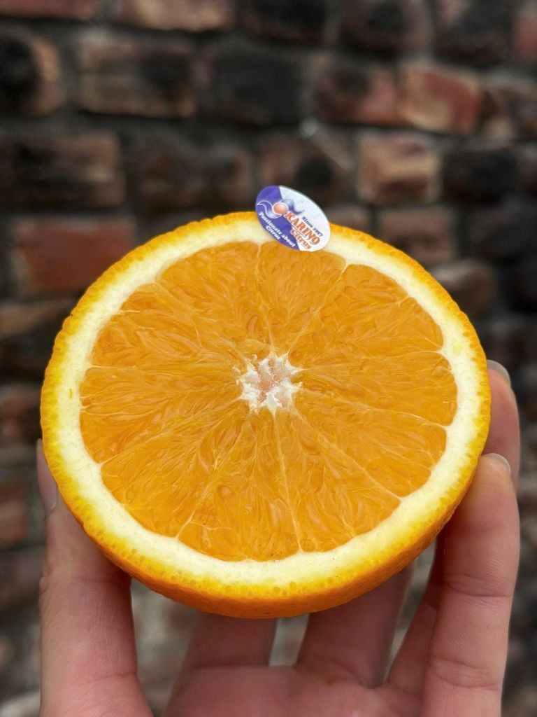 Cam Vàng Nam Phi Cao Cấp - Kg