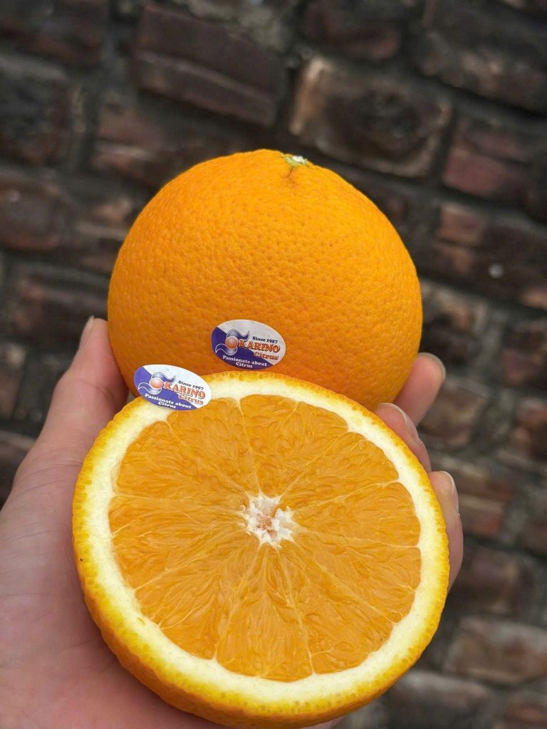 Cam Vàng Nam Phi Cao Cấp - Kg