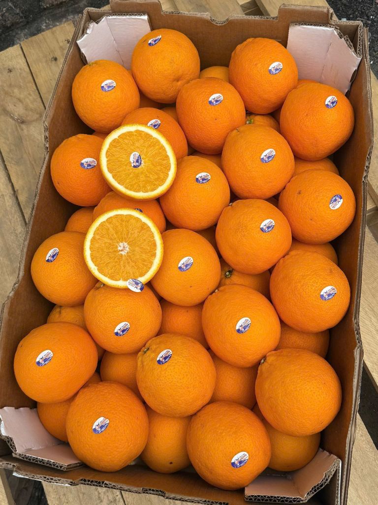 Cam Vàng Nam Phi Cao Cấp - Kg