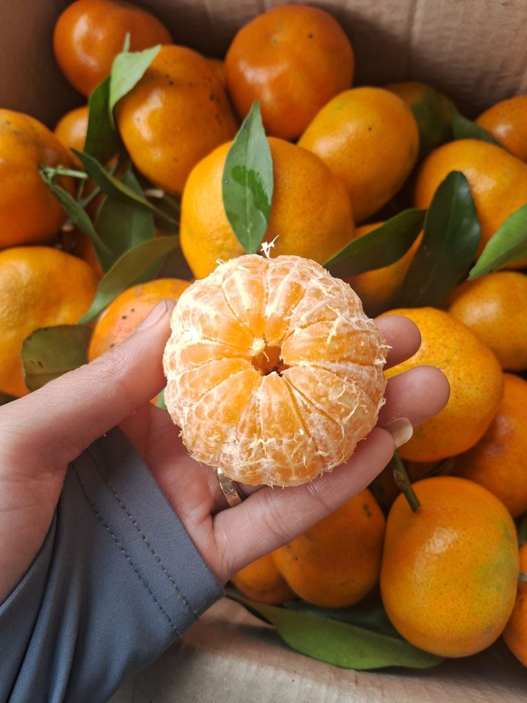 Cam Canh Đường Thơm Ngọt – Kg