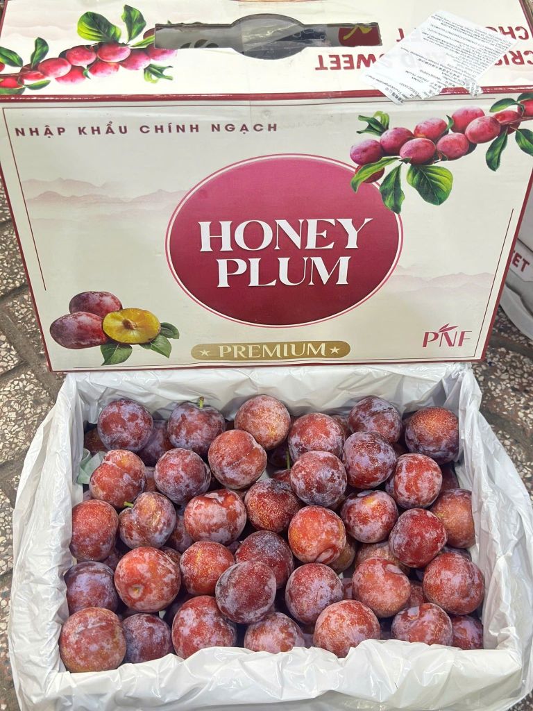 Mận Mật Ong - Hộp 450g