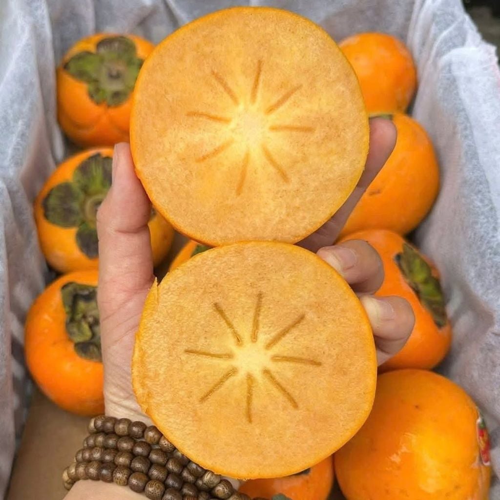 Hồng Mật Socola - Hộp 1kg