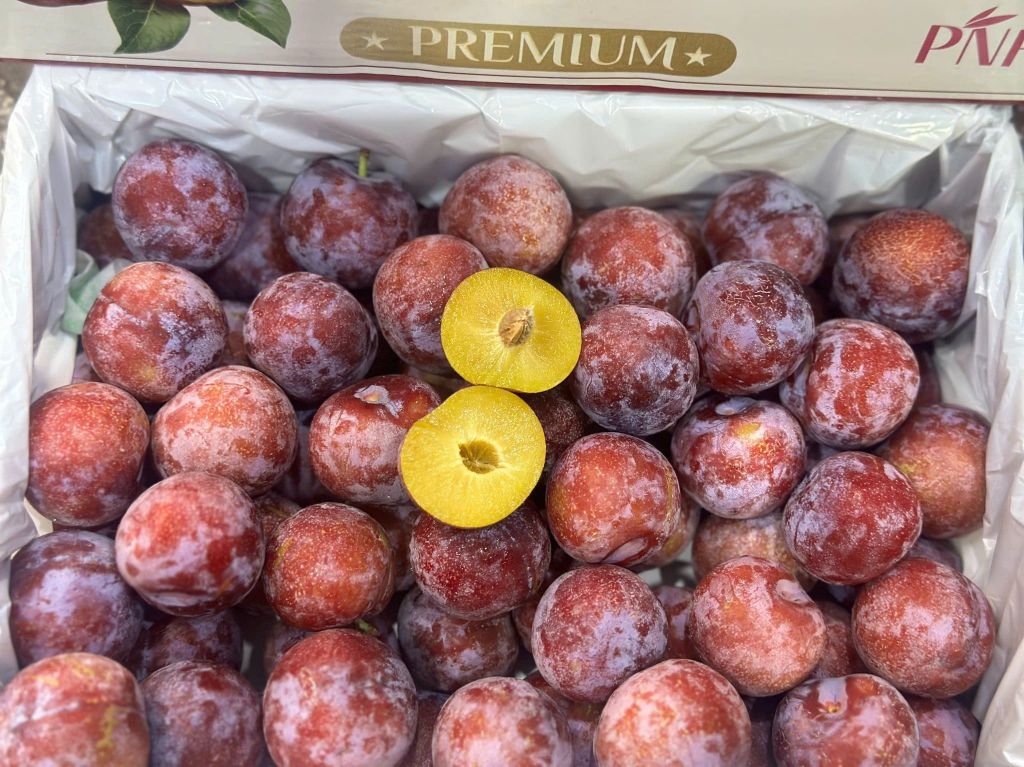 Mận Mật Ong - Hộp 450g