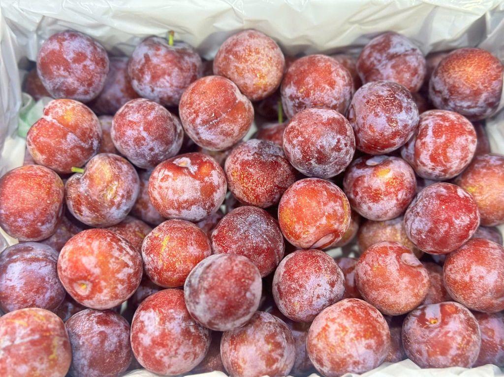 Mận Mật Ong - Hộp 450g