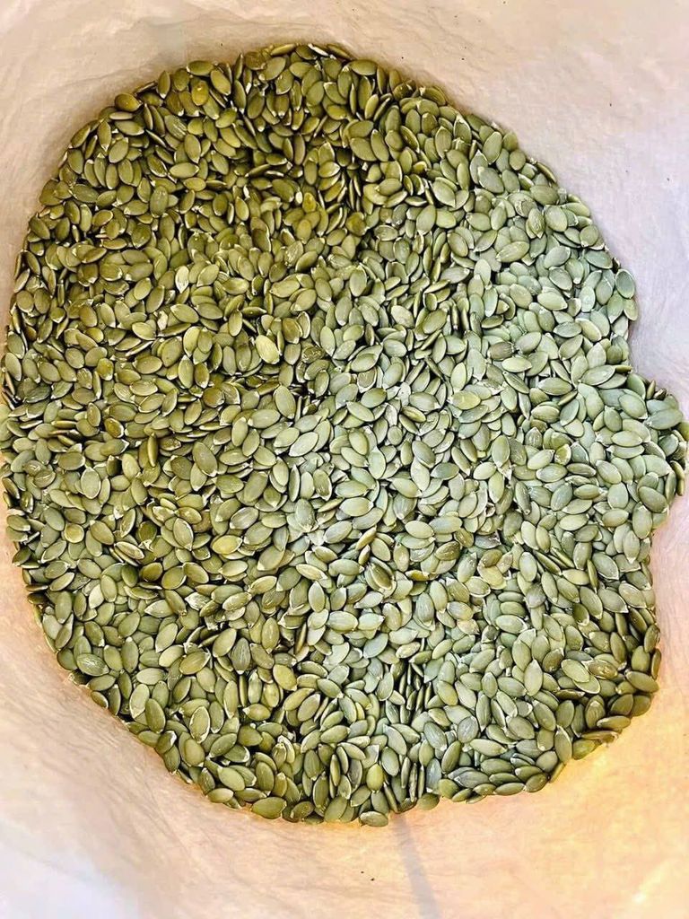 Hạt Bí Xanh Cao Cấp Gia Hưng – Hũ 480g