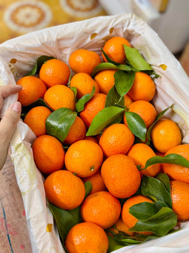 Quýt Thái Cành Tươi – kg