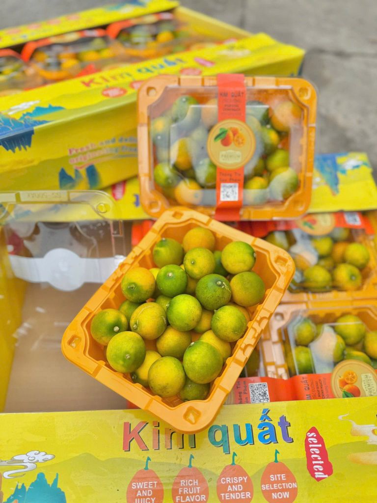 Kim Quất Đài Loan – Hộp 400g