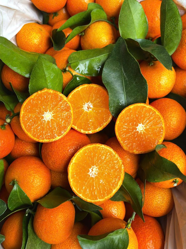 Quýt Thái Cành Tươi – kg